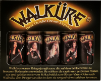 Burning Witches Walkuere 0,02